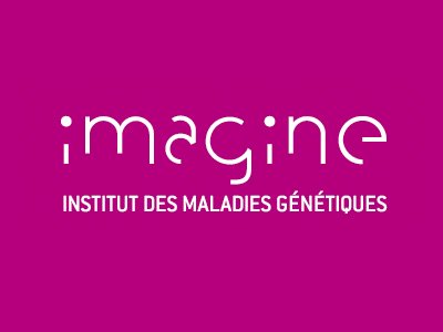 L Institut Imagine